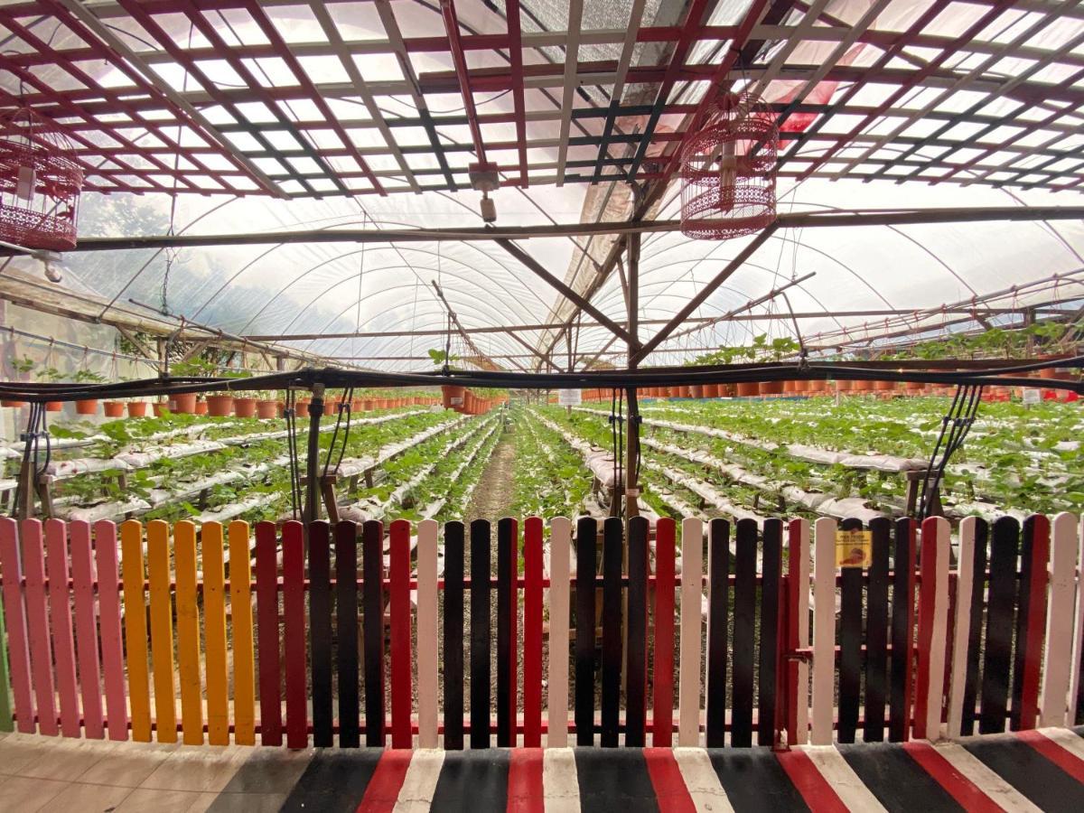 Aiza Homestay Opposite Abang Strawberry Taman Sedia Tanah Rata Εξωτερικό φωτογραφία
